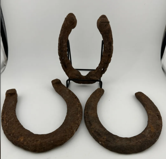 Primitive Rusty Horseshoes