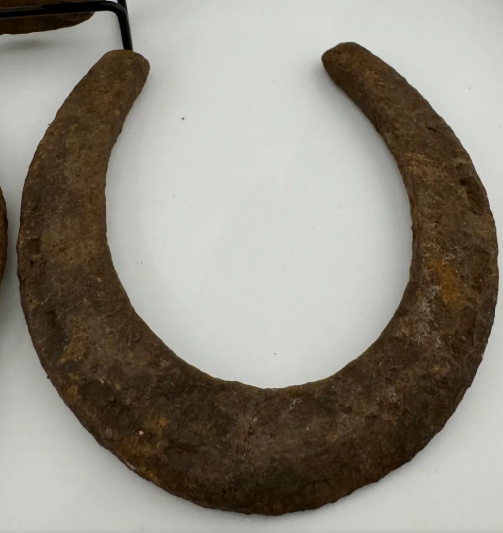 Primitive Rusty Horseshoes