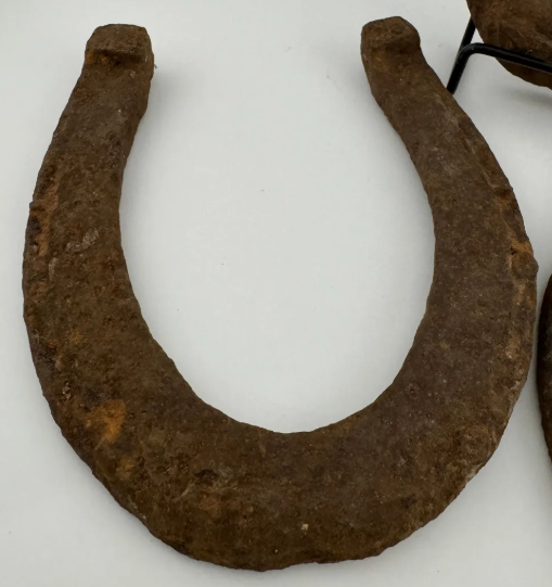 Primitive Rusty Horseshoes