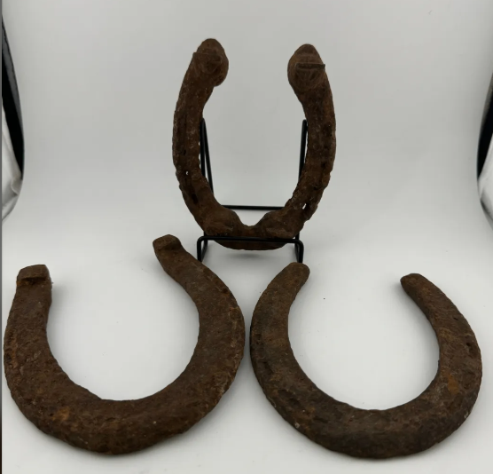 Primitive Rusty Horseshoes