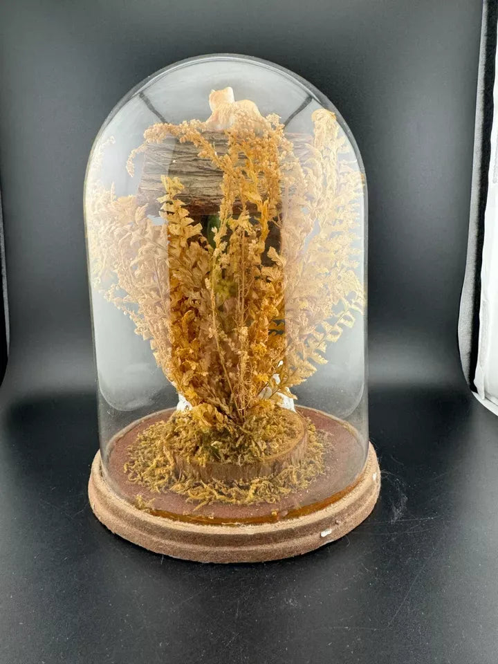 Vintage Kitschy Ceramic Animals in a Treehouse Diorama Terrarium