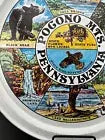 Vintage Tin State Souvenir Trays - Pocono