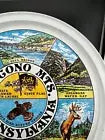 Vintage Tin State Souvenir Trays - Pocono