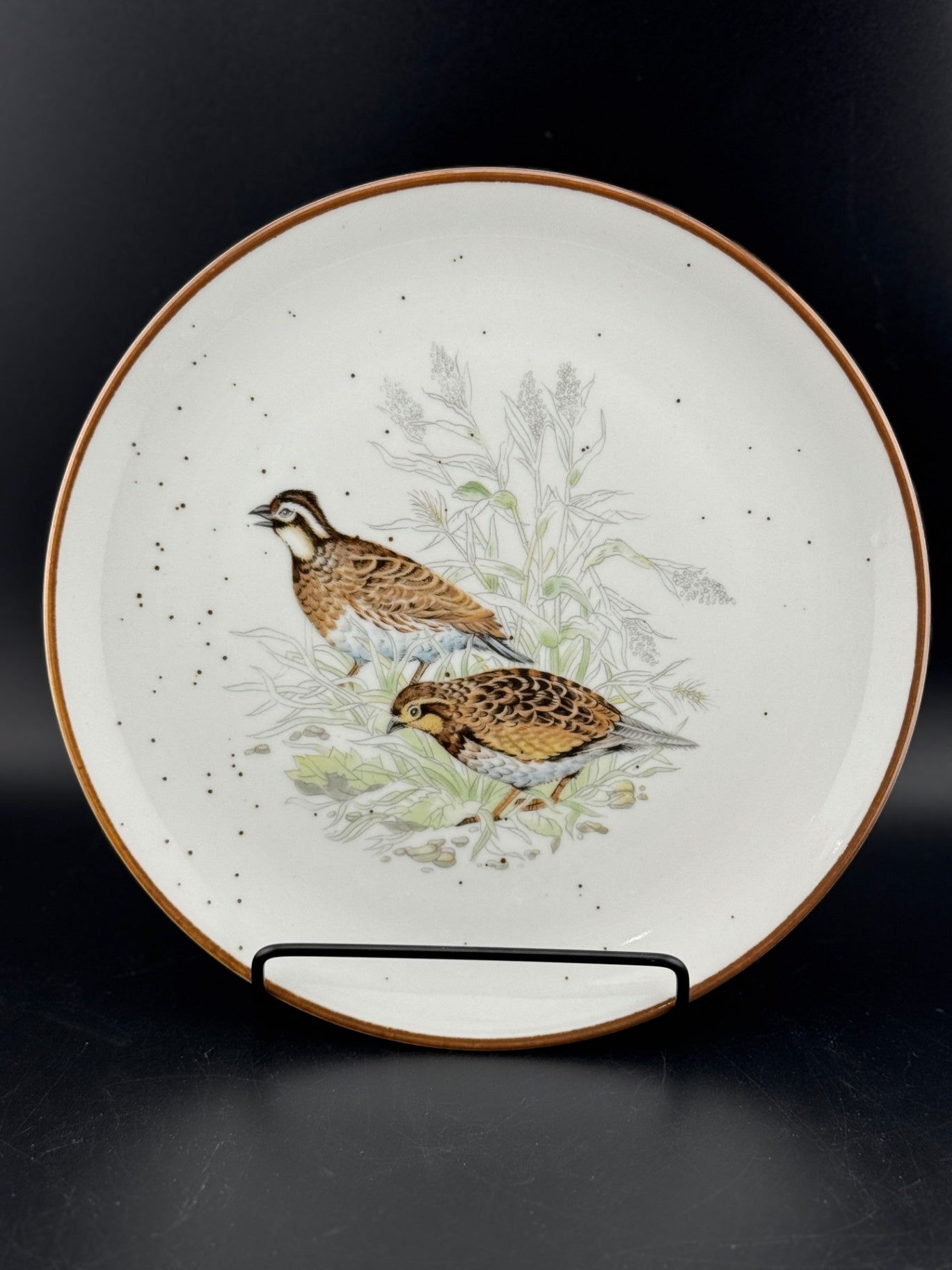 Set of 4 Wild Game Bird Plates by Andrea by Sadek