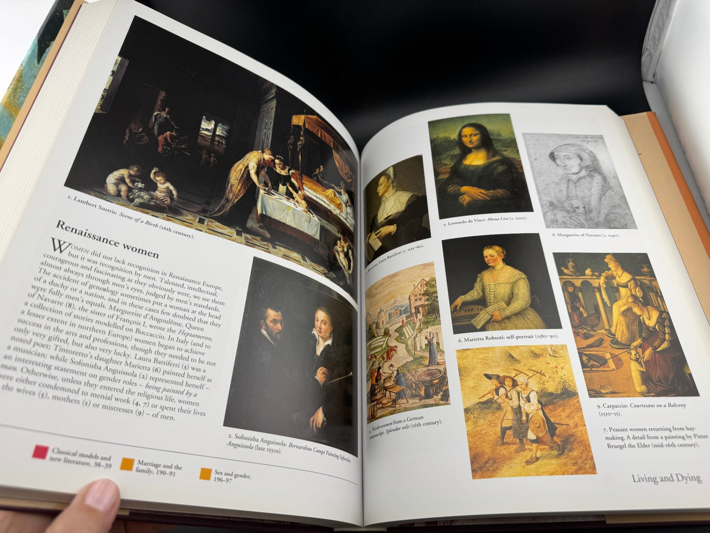 The Panorama of the Renaissance