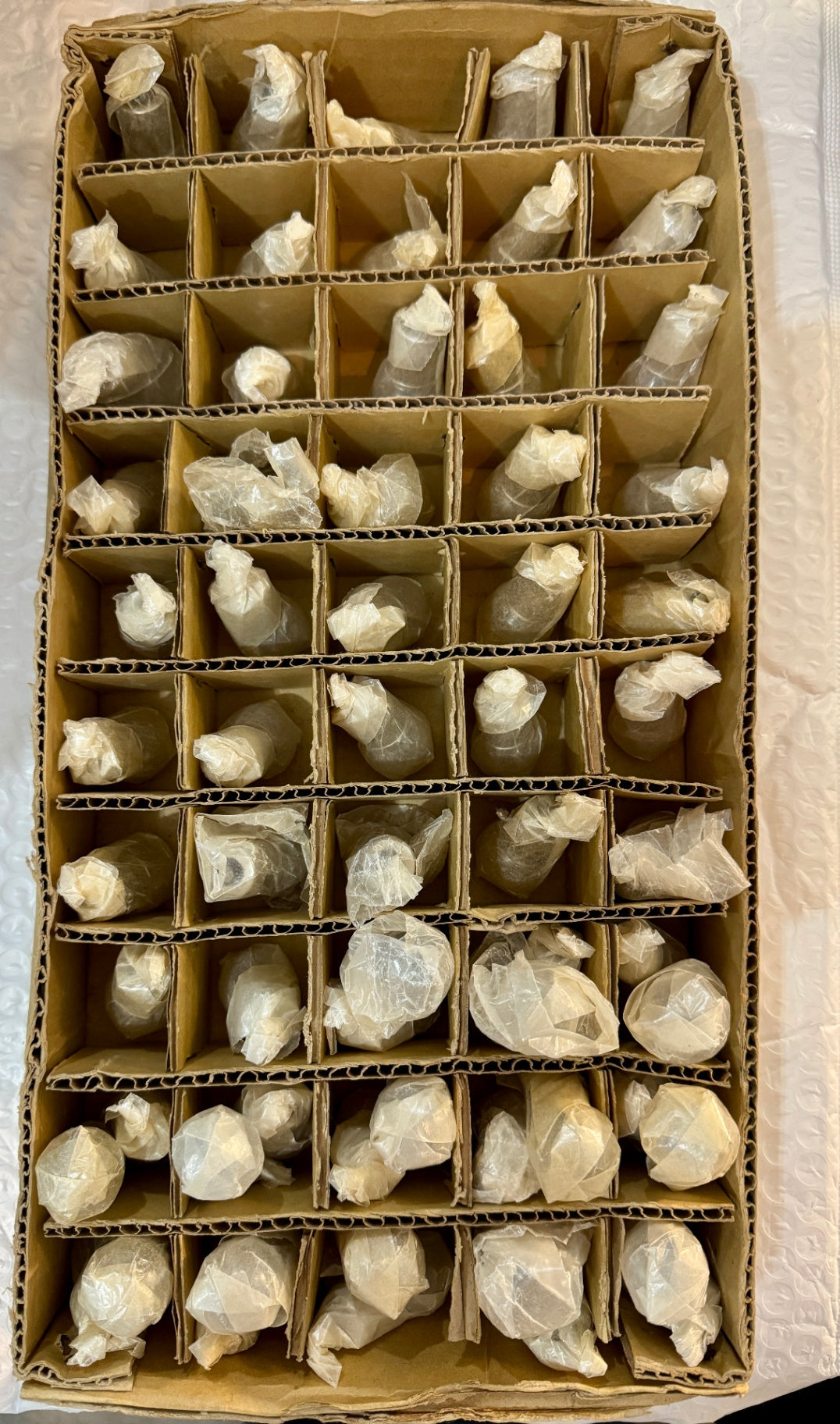 New Old Stock 6-8V12W Bulbs