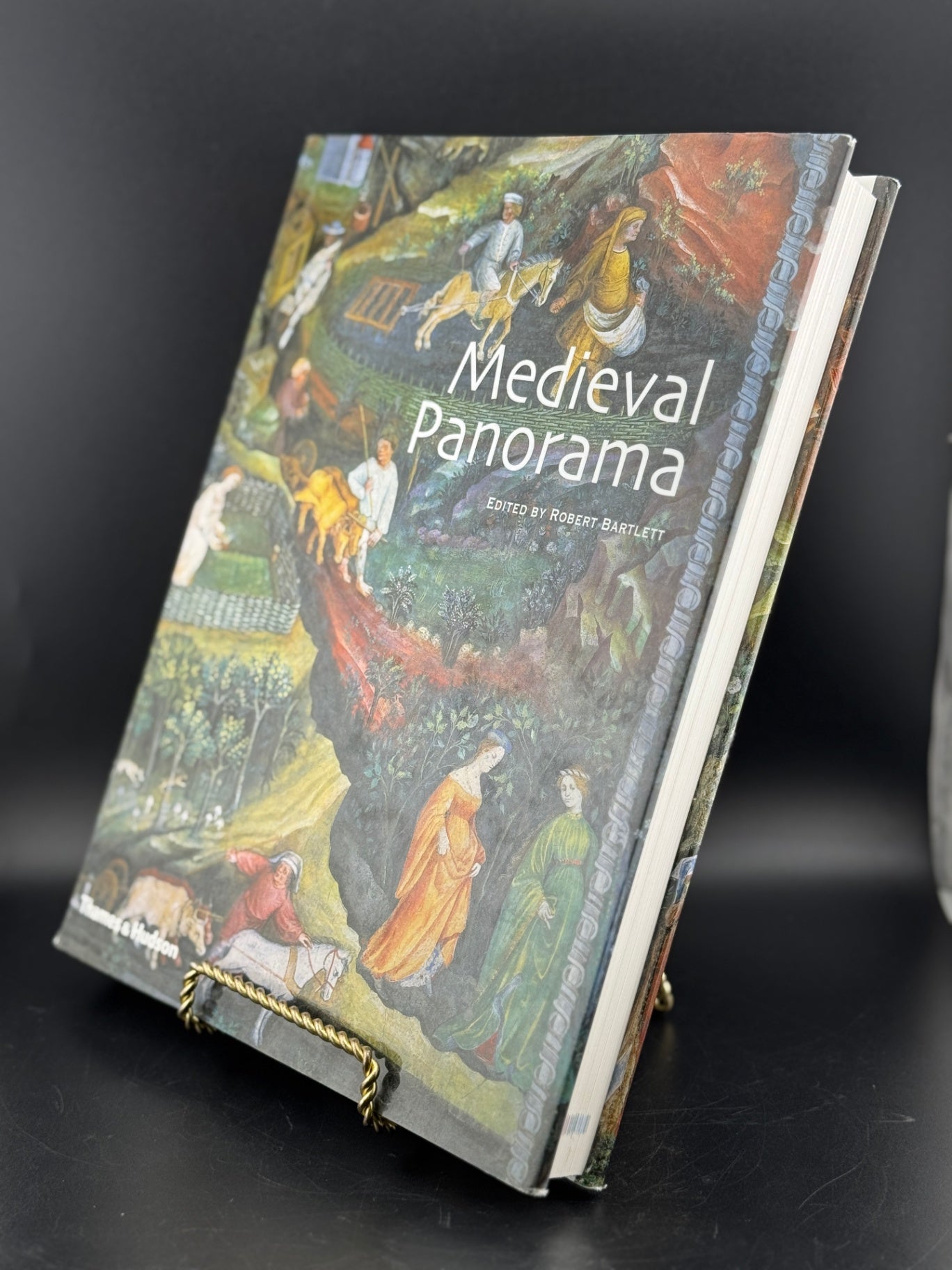 Medieval Panorama
