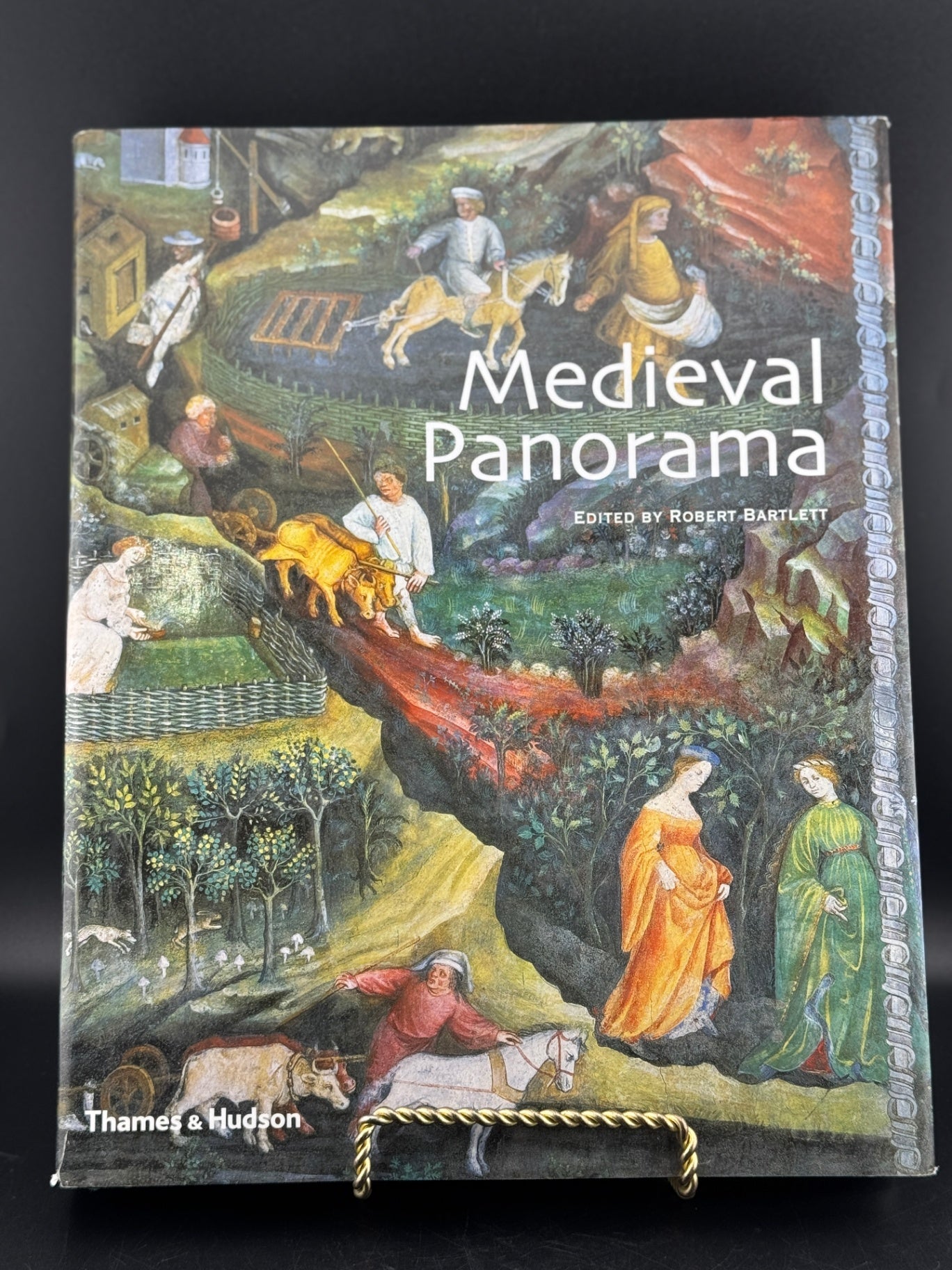 Medieval Panorama