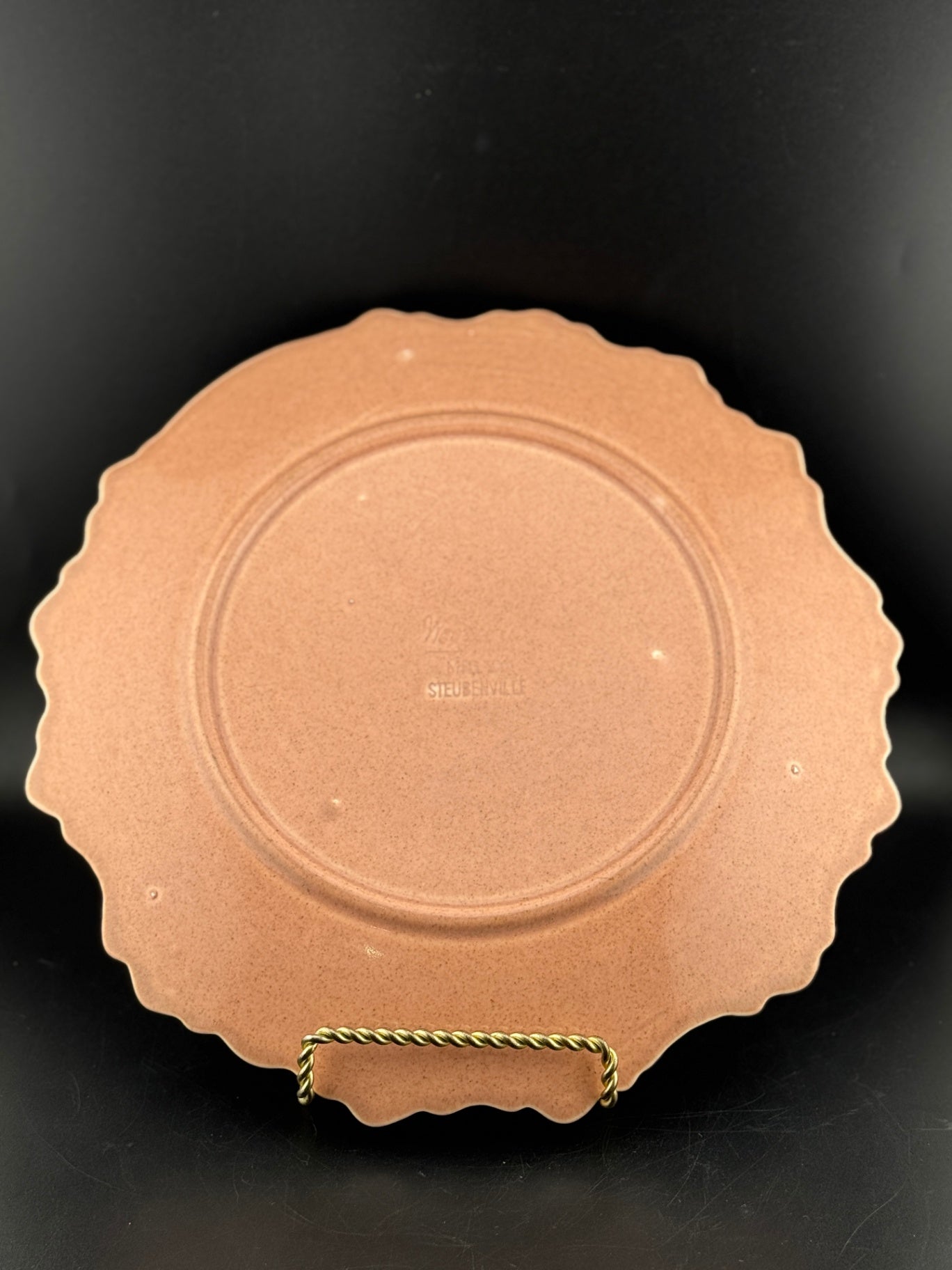 Woodfield Salmon Pink 10.5" Plate by Steubenville