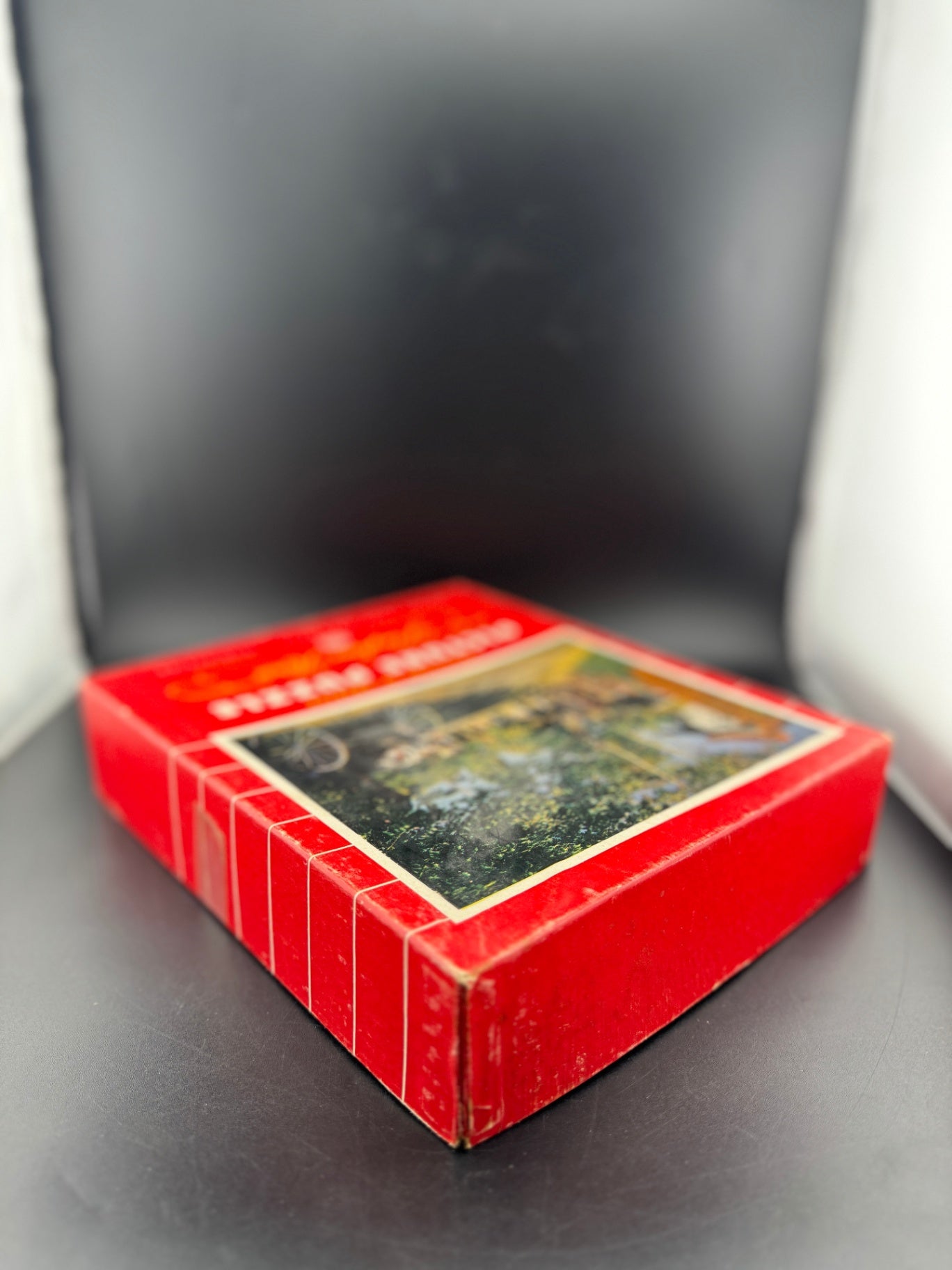 Vintage Playtime House Puzzle - Ghost Town