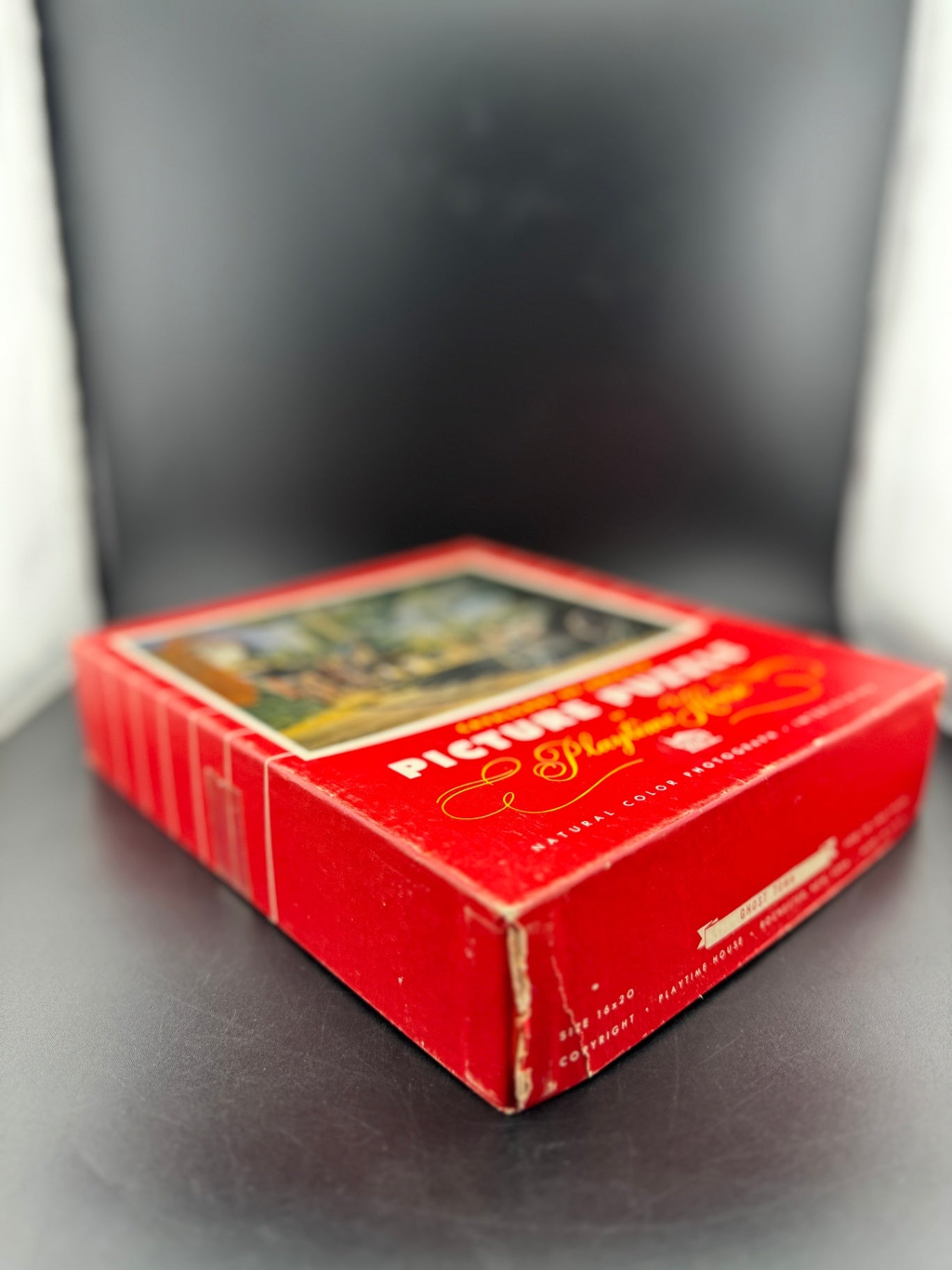 Vintage Playtime House Puzzle - Ghost Town