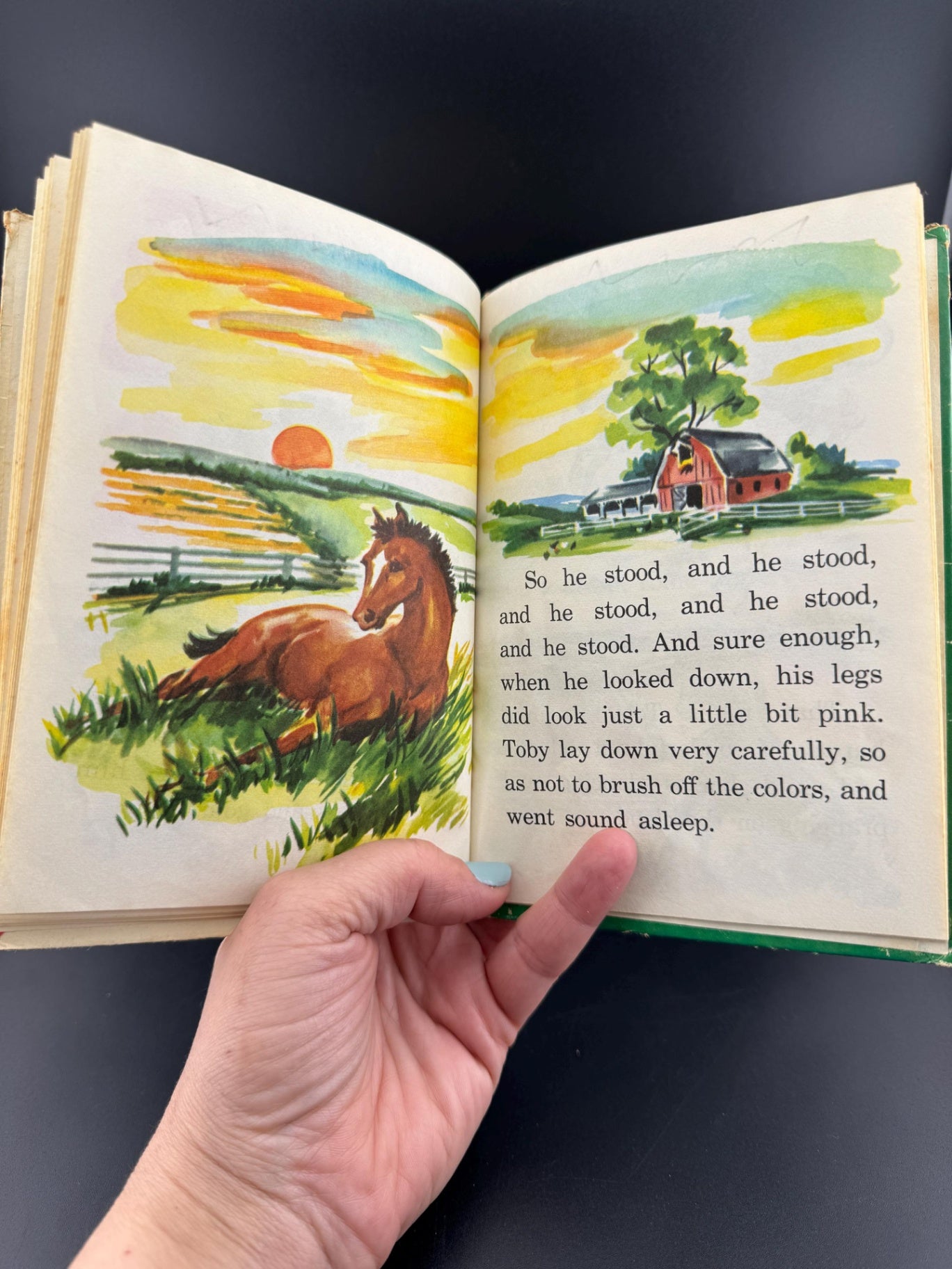 The Story of The Story of Toby by Jane Shearer Moore 1960 Rand McNally Junior Elf Book