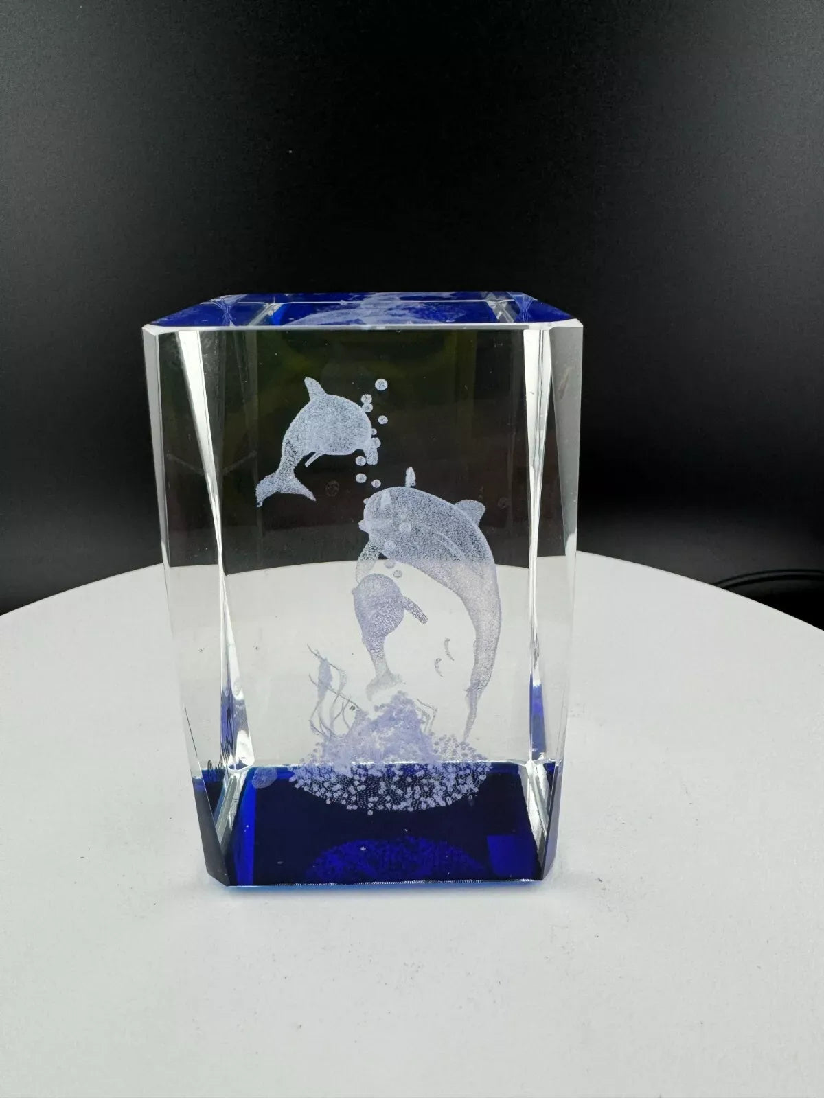 Daytona Beach Etched Glass Dolphin Souvenir