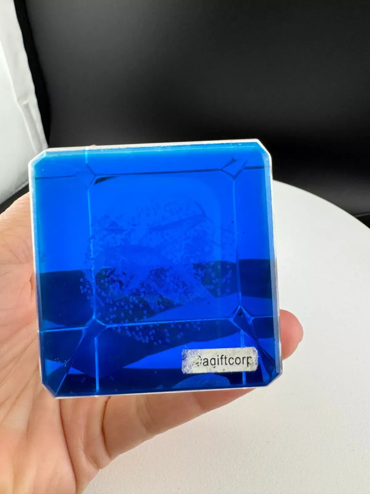 Daytona Beach Etched Glass Dolphin Souvenir