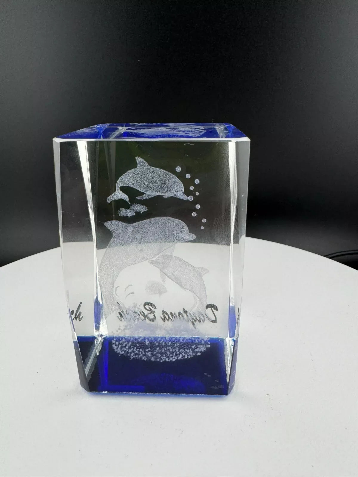 Daytona Beach Etched Glass Dolphin Souvenir