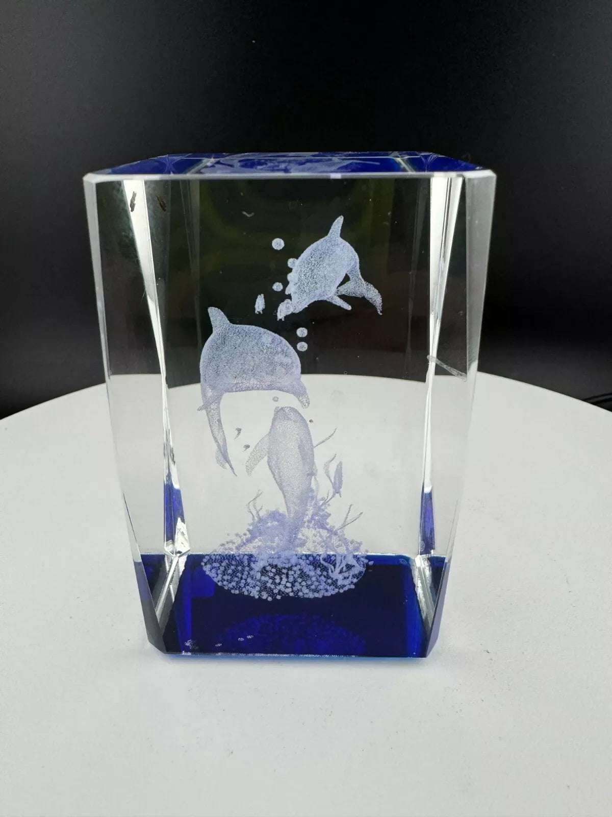 Daytona Beach Etched Glass Dolphin Souvenir