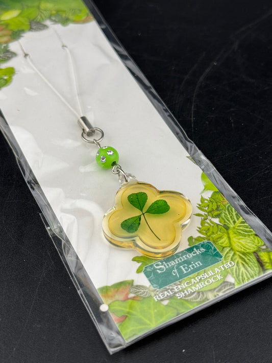 New Shamrocks of Erin Real Shamrock