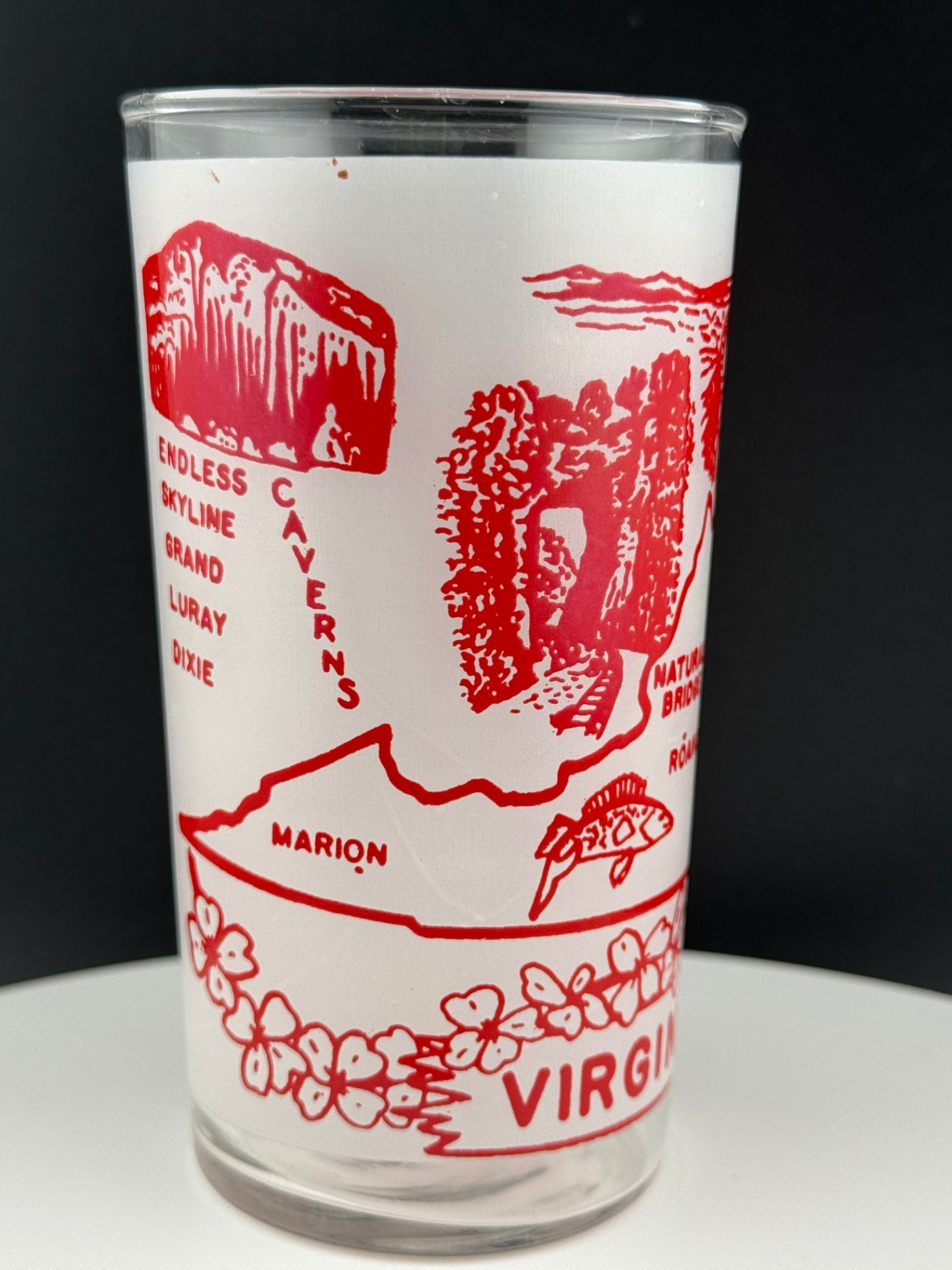Vintage Virginia State Souvenir Glass