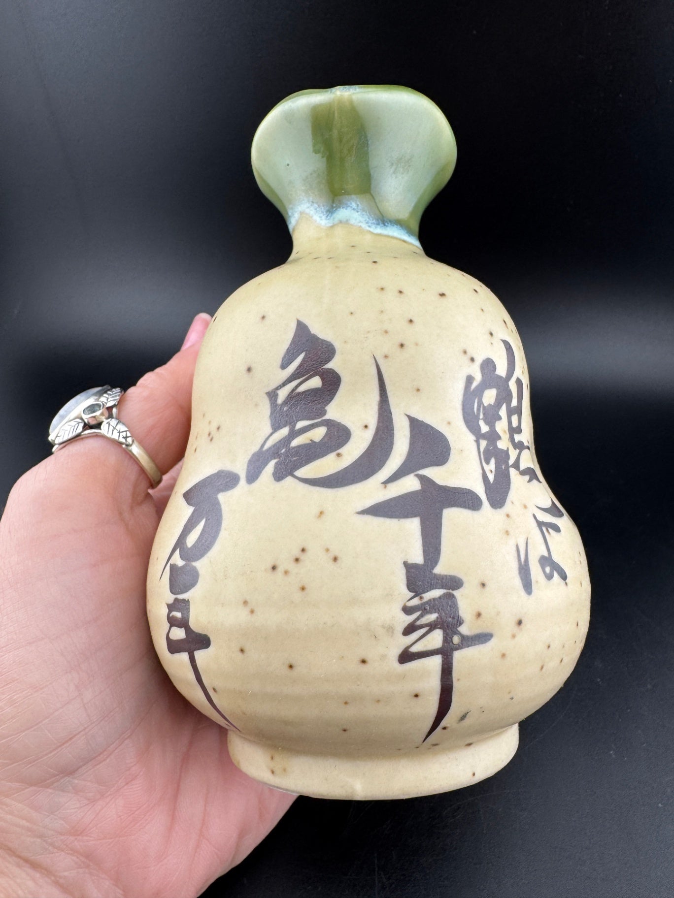 5-Piece Sake Set