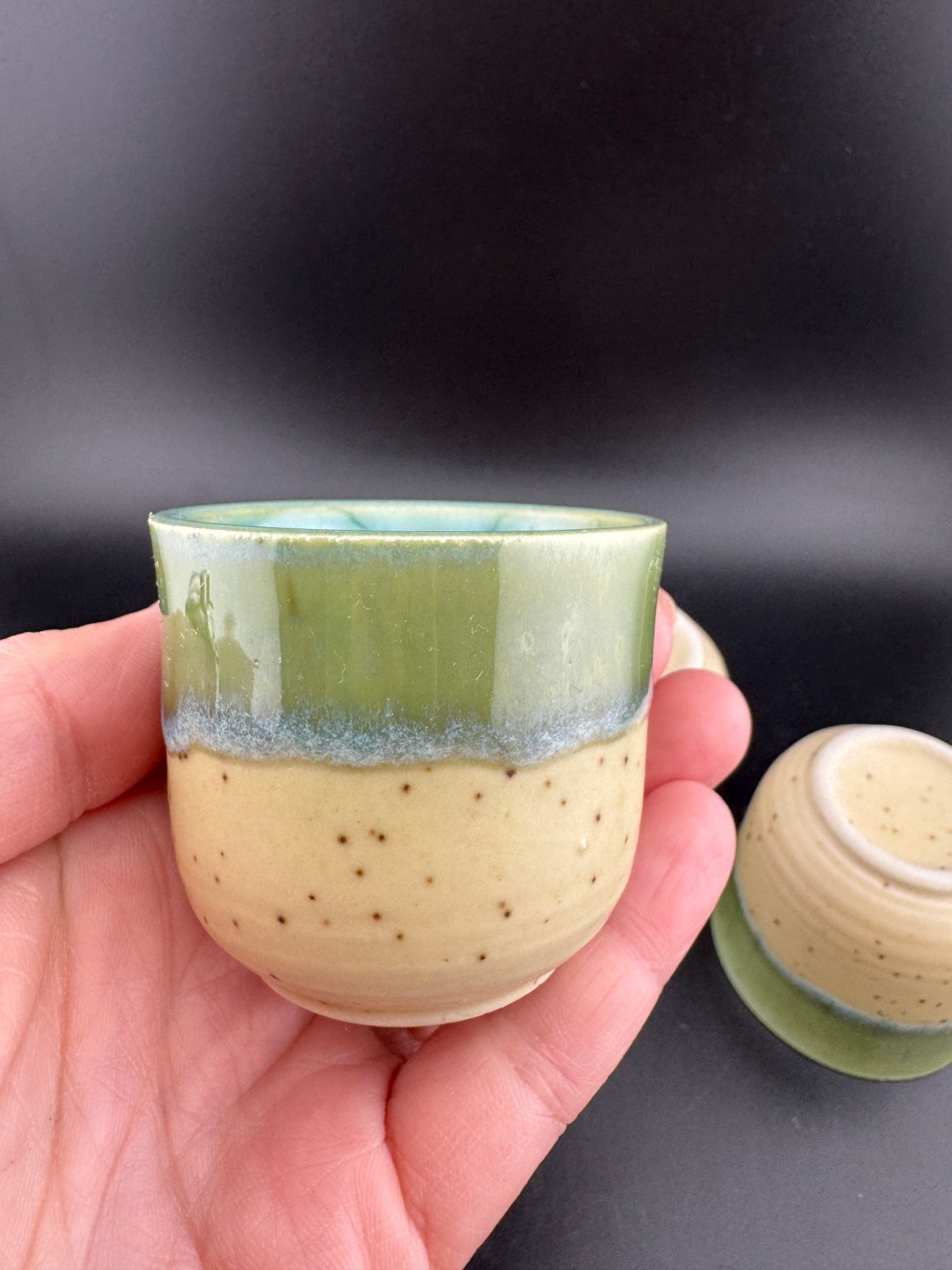 5-Piece Sake Set