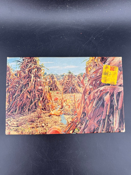 Vintage Tuco Puzzle - Pumpkin & Corn