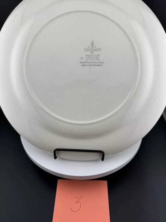 Triumph - American Limoges - Treasure Island 10" Plate - Warranted 22K Gold